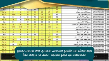 رابط مباشر الآن لنتائج السادس الإعدادي 2025 دور أول لجميع المحافظات عبر موقع نتائجنا – تحقق من درجاتك فوراً